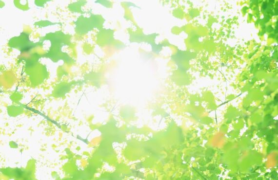 特別コース！キックボクササイズ！